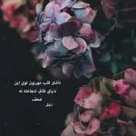 دانلود آهنگ آهنگ بمون تا بتونم یه عاشق بمونم “ترند اینستا” از حمیرا